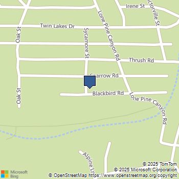 5595 Sycamore Street Wrightwood, CA MLS# IV25019849