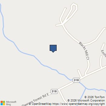 175 Blacks Mill Court Dawsonville, GA MLS# 10665208