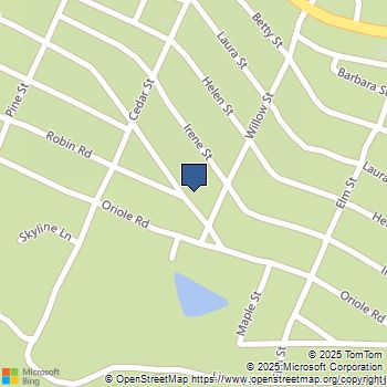 1322 Edna Street Wrightwood, CA MLS# LG25132845