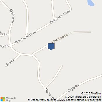 3925 Pine Tree Lane Gainesville, GA MLS# 10656725