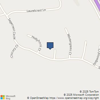 25019 Coriander Court Stevenson Ranch, CA MLS# SR25245211