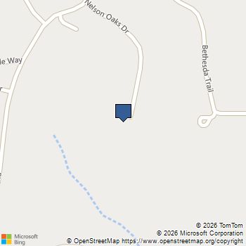 118 Nelson Oaks Drive Ball Ground, GA MLS# 10838471
