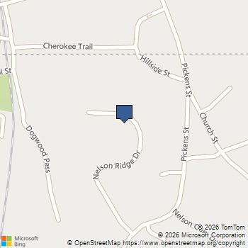 115 Nelson Ridge Drive Ball Ground, GA MLS# 10802687