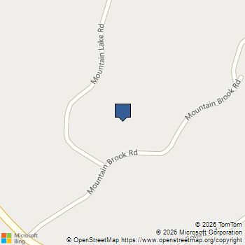 305 Mountain Brook Road Dawsonville, GA MLS# 7696102