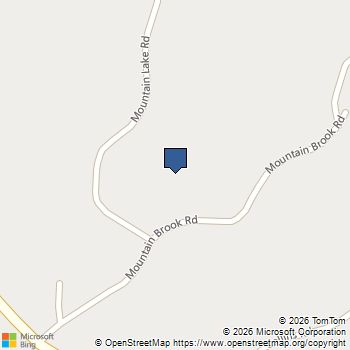 305 Mountain Brook Road Dawsonville, GA MLS# 7734402