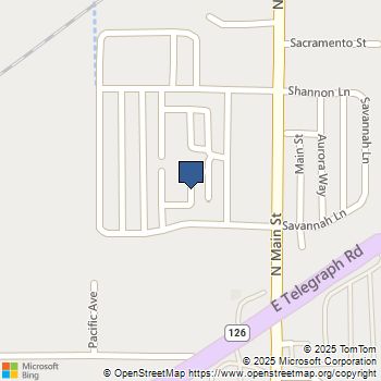 119 Yellow Birch Lane Piru, CA MLS# V132718