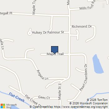 99 Maple Trail Dawsonville, GA MLS# 10775493
