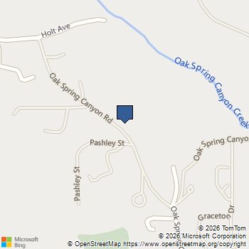 28132 Oak Spring Canyon Canyon Country, CA MLS# SR25278840