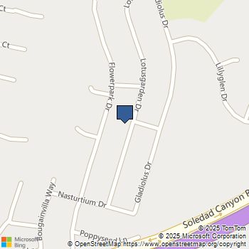 28975 Lotusgarden Canyon Country, CA MLS# SR25233548