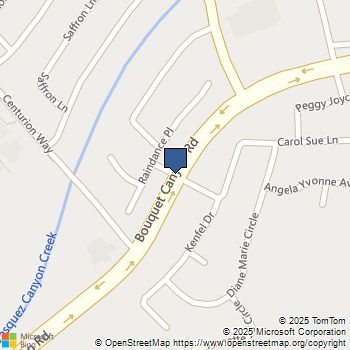 29021 Bouquet Canyon Road 317 Saugus, CA MLS# SR25066411