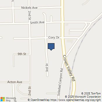 31800 3rd Acton, CA MLS# BB25230125