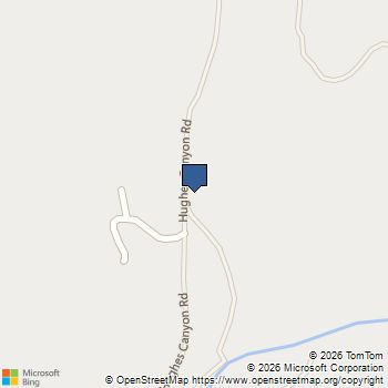 32100 Hughes Canyon Acton, CA MLS# BB26170989