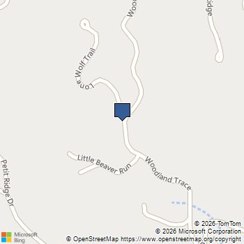 541 Woodland Trace Dawsonville, GA MLS# 10777717