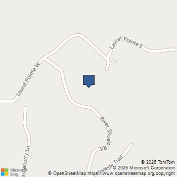 388 River Shoals Road Dawsonville, GA MLS# 10786193