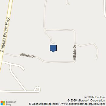 33438 Angeles Forest Acton, CA MLS# SR26091365