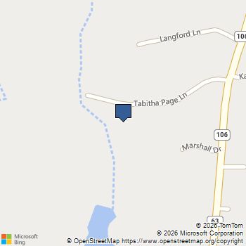 193 Tabitha Page Lane Toccoa, GA MLS# 7808362