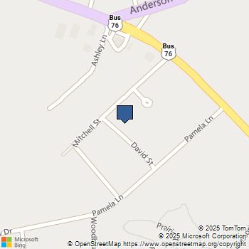 103 David Street Laurens, SC MLS# 1576228