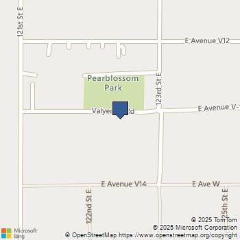 121 E Avenue East Pearblossom, CA MLS# SR25170075