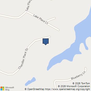 478 Chandler Place Drive Lavonia, GA MLS# 10878236