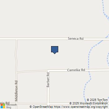 0 Camellia Road Adelanto, CA MLS# P1-21840