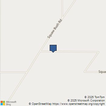 31450 Squaw Bush Road Lucerne Valley, CA MLS# ND25228593