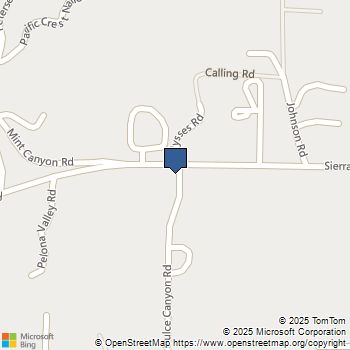 0 Corner Sierra Hwy & Agua Dulce Agua Dulce, CA MLS# SR25196320