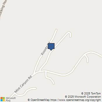 0 Koontz Road Agua Dulce, CA MLS# SB24197454