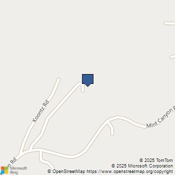 34554 Koontz Road Agua Dulce, CA MLS# SR25196070