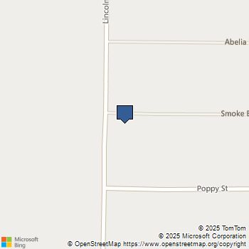 101 Smoke Bush Road Lucerne Valley, CA MLS# OC25031317