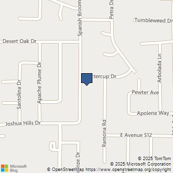 36648 Spanish Broom Drive Palmdale, CA MLS# SR25136941