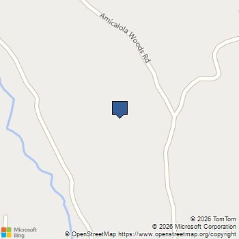 498 Amicalola Woods Road Dawsonville, GA MLS# 7770458