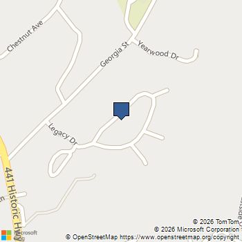 241 Legacy Drive Demorest, GA MLS# 7804649