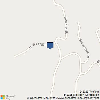 365 Luna Court NE Ranger, GA MLS# 10597314