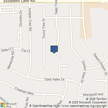 38603 Sage Tree Palmdale, CA MLS# HD25232549