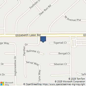 38742 Panther Drive Palmdale, CA MLS# SR25231264