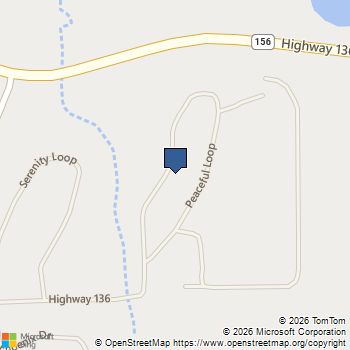 319 Peaceful Loop Chatsworth, GA MLS# 10776524