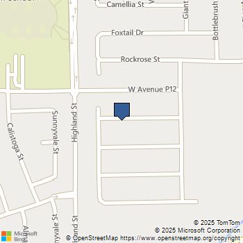 2318 Desert Agave Street Palmdale, CA MLS# SR25228116