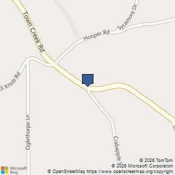 0 CRABAPPLE Lane Cleveland, GA MLS# 10695270