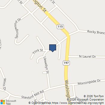172 Llewellyn st Clarkesville, GA MLS# 7807905