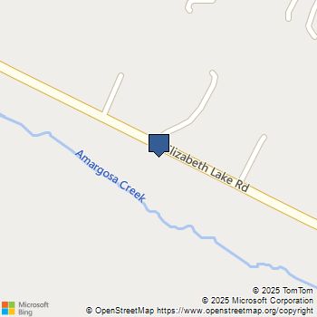 90 Elizabeth Lake Rd Leona Valley, CA MLS# SR25169695