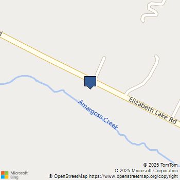 90 Elizabeth Lake Rd Leona Valley, CA MLS# SR25169676