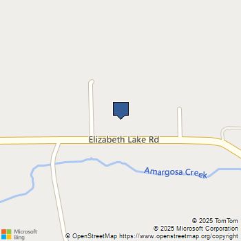 11039 Elizabeth Lake Road Palmdale, CA MLS# SR25056234