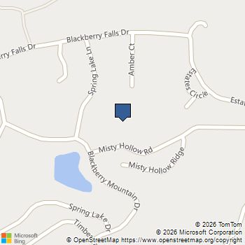 63 Misty Hollow Road Ellijay, GA MLS# 10782508