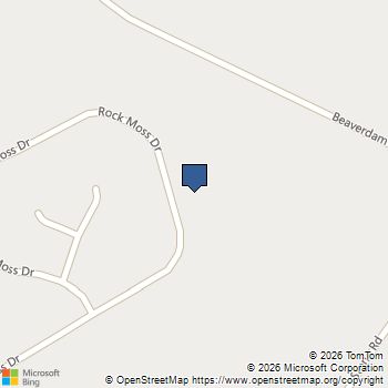 164 Rock Moss Drive Williamston, SC MLS# 20301350