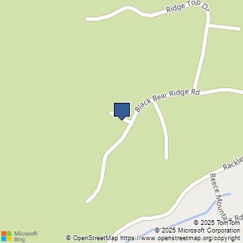 37 Black Bear Ridge Road Ellijay, GA MLS# 10627767