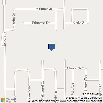 41819 Montana Drive Palmdale, CA MLS# SW25214989