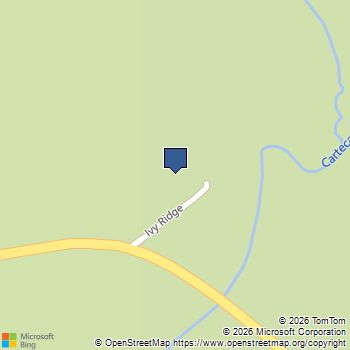 233 Ivy Ridge Ellijay, GA MLS# 10741173