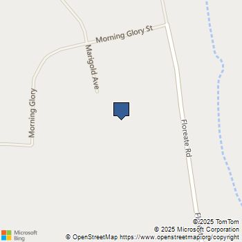 0 Marigold Avenue Oro Grande, CA MLS# HD24091146