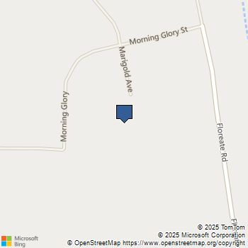 0 Marigold Avenue Oro Grande, CA MLS# HD24091141