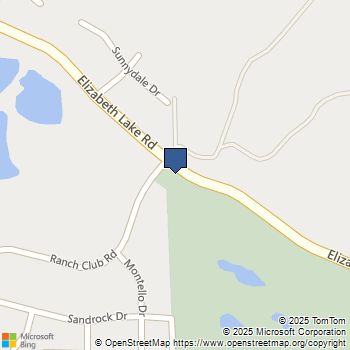 14780 Elizabeth Lake Road Lake Elizabeth, CA MLS# NP25140550